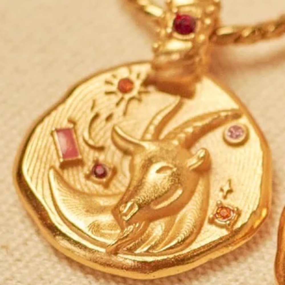 Astro Zodiac Necklace- Capricorn